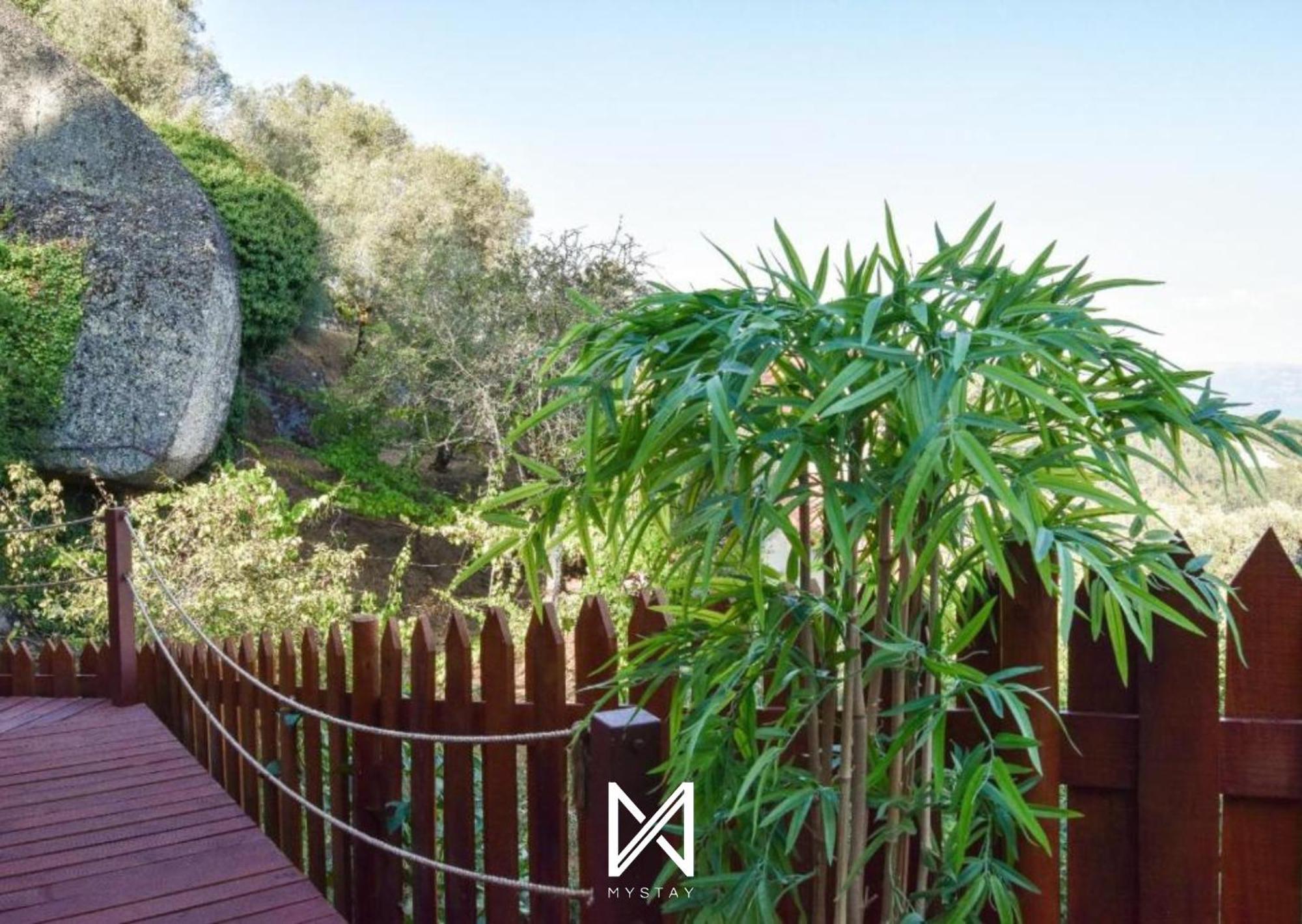 Mystay - Casa Das Oliveirinhas Bungalow By Refugio Ao Luar Селорику-ди-Башту Экстерьер фото